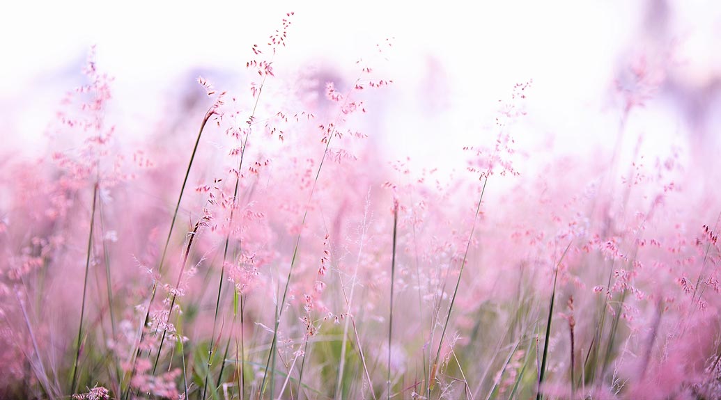 7 Biodegradable Urns for Land Burial 2021