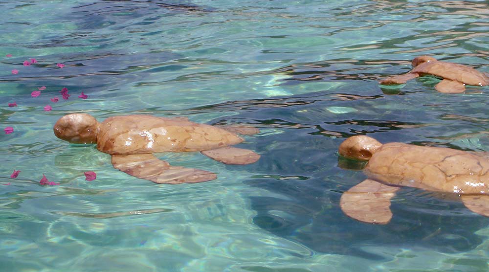 How Long Do Biodegradable Urns Last?