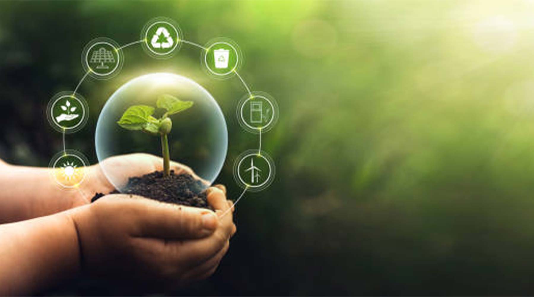 Why are Green Cremations so Taboo?