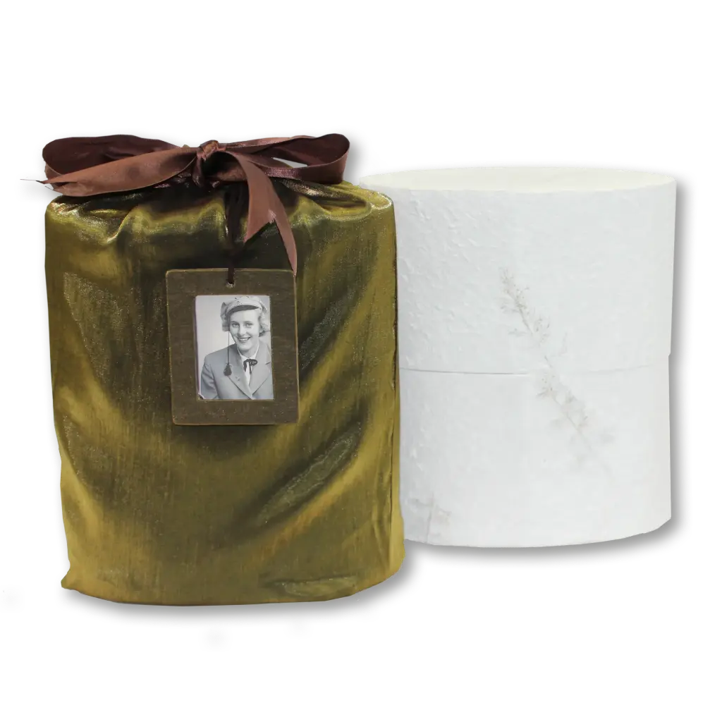 Reflect Earthurn Biodegradable Urn for Ashes with Green Silk Bag - Extra Large
