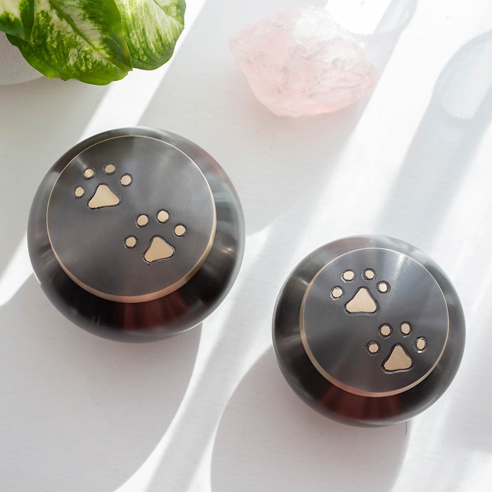 Brushed Metal Pet Urn for Ashes with Paw Print Motif Pair Inside 600ml