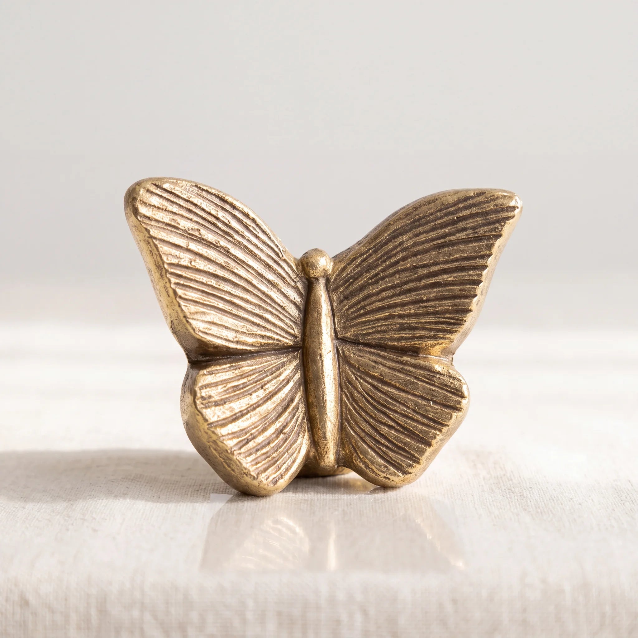 Butterfly-Keepsake-Urn-for-Ashes-in-Gold-Studio