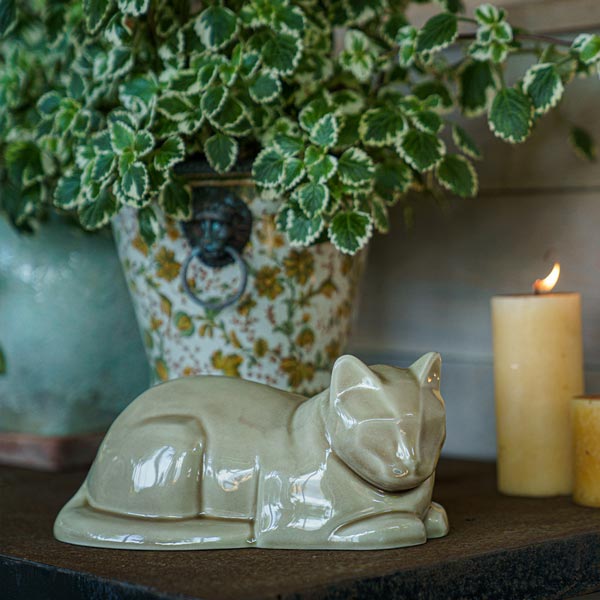 Cat Cremation Urn For Pets Ashes In Beige Grey On Shelf