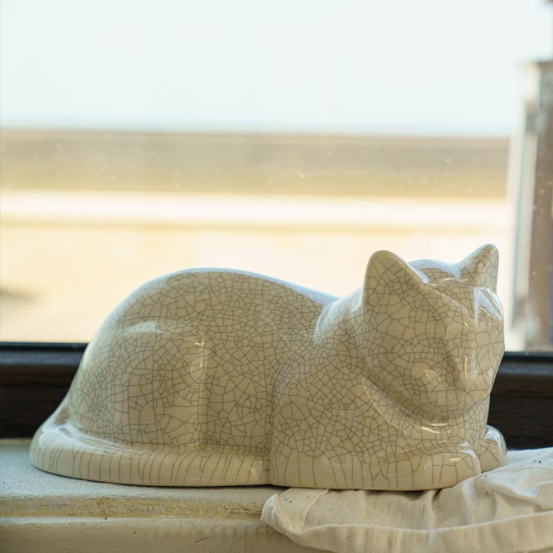 Cat Cremation Urn For Pets Ashes In Crackle Glaze By Window