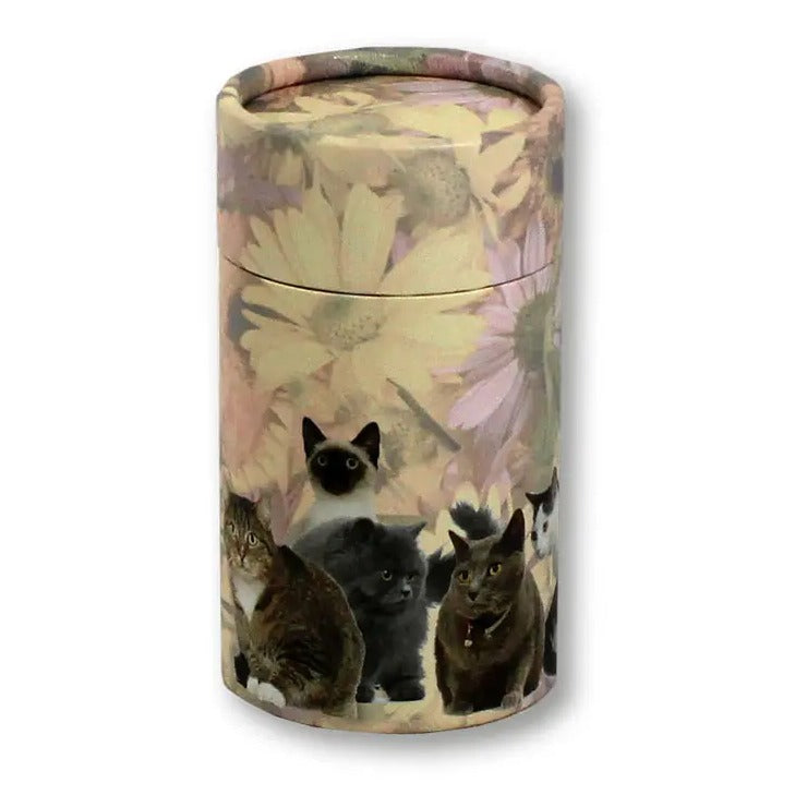 Cats Eco Friendly Scattering Tube for Pet Ashes - Mini
