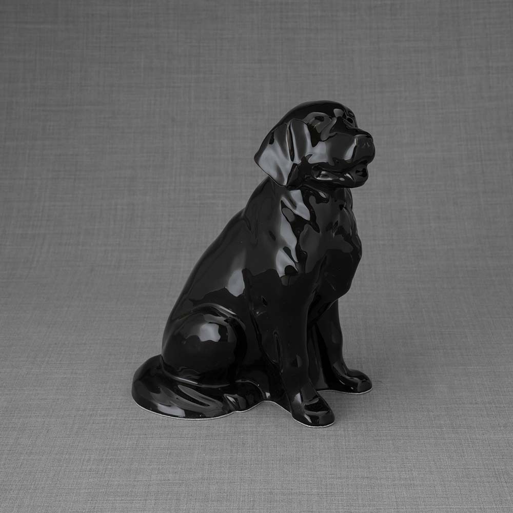 Golden Retriever Pet Urn for Ashes in Glossy Black Right