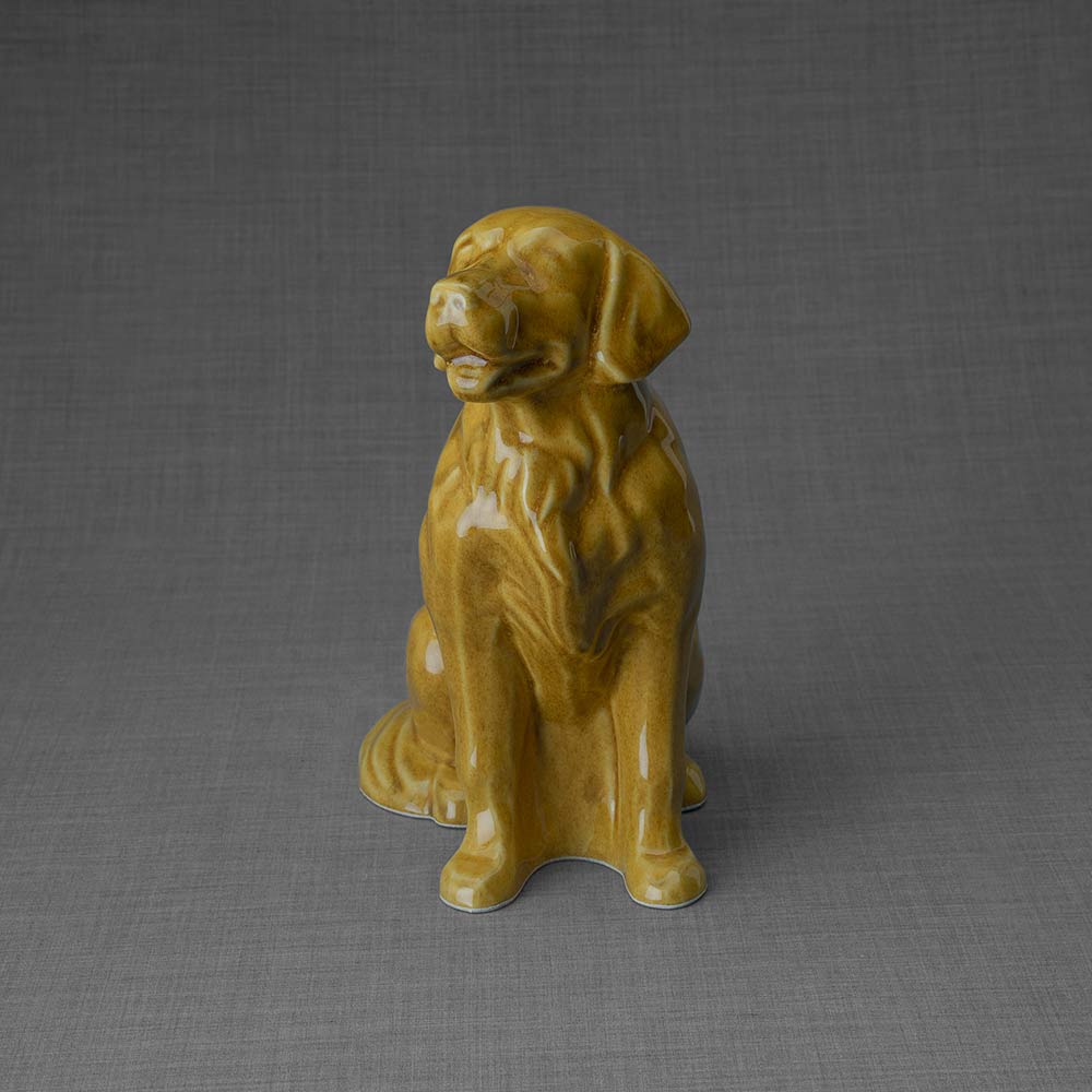 Golden Retriever Pet Urn for Ashes in Gold Front