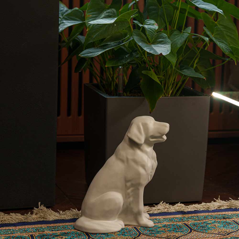 Golden Retriever Pet Urn for Ashes in Matte White on Rug