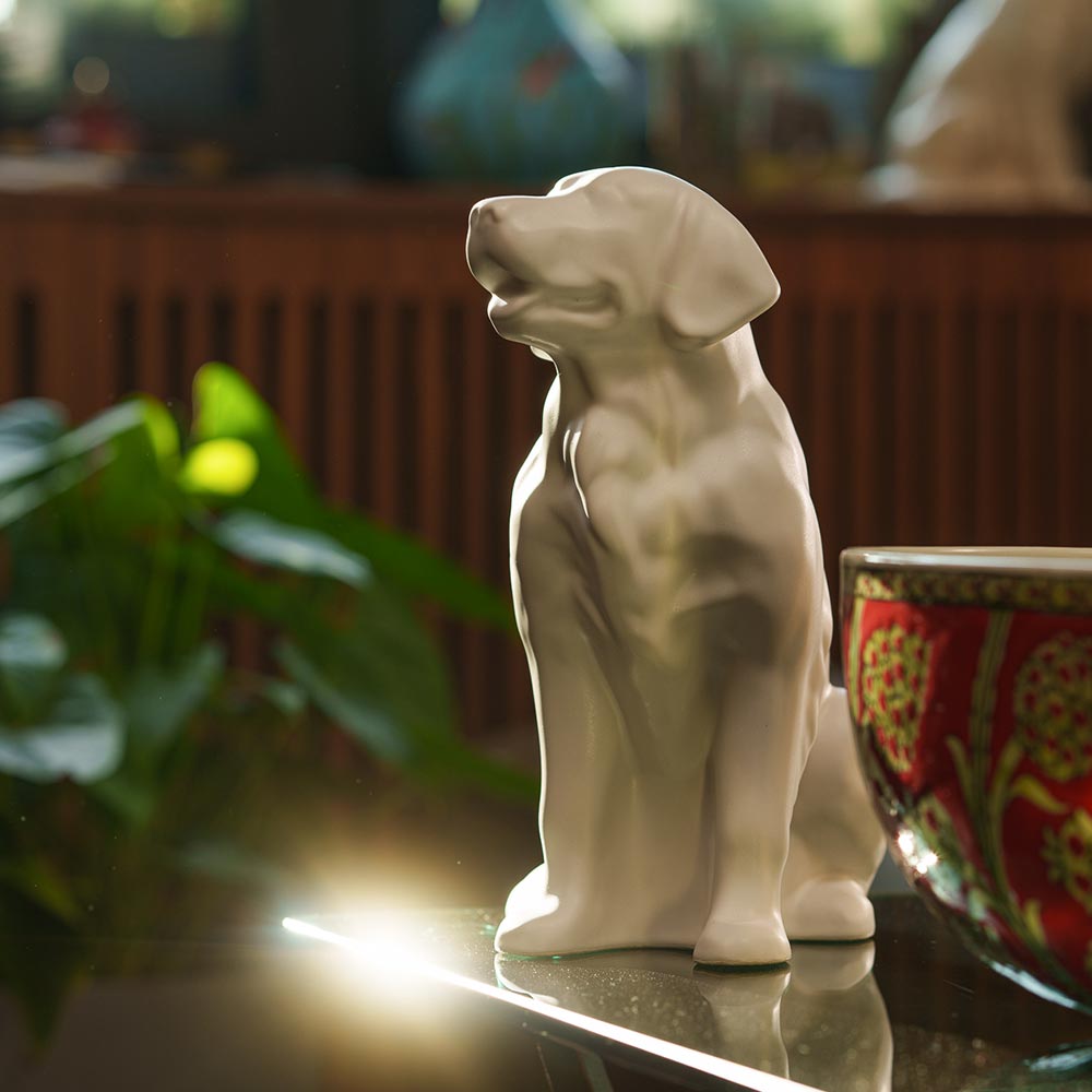 Golden Retriever Pet Urn for Ashes in Matte White on Table Looking Up