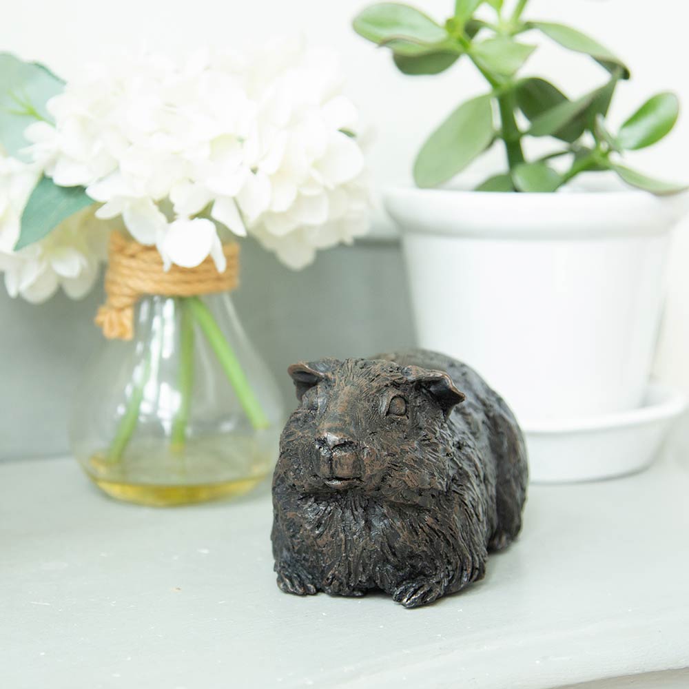 Guinea Pig Urn Urn or Ashes Shelf