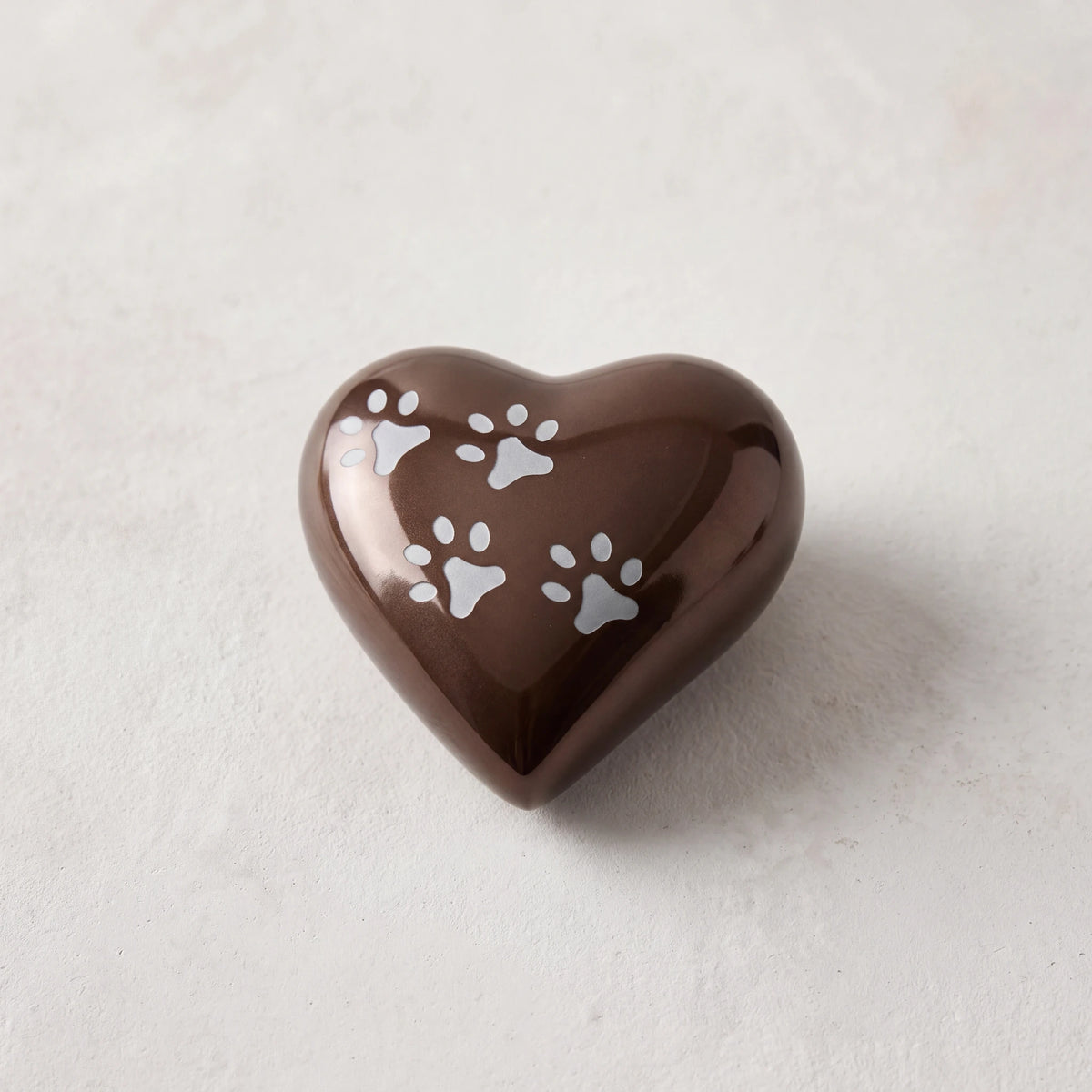 Heart-Pawprints-Pet-Urn-for-Ashes-in-Bronze-Silver-Keepsake-heart_plaster_above