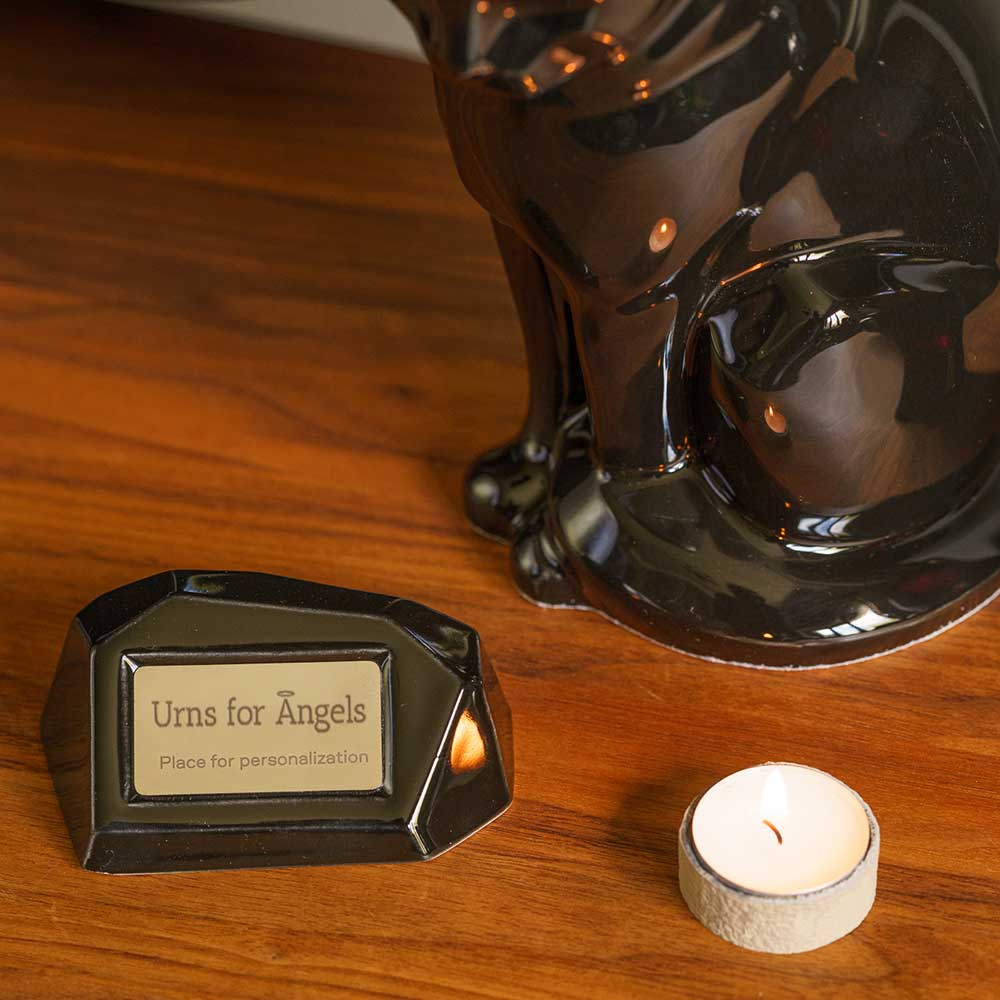 Memorial Nameplate Holder Glossy Black with Sitting Cat Close Up within Home