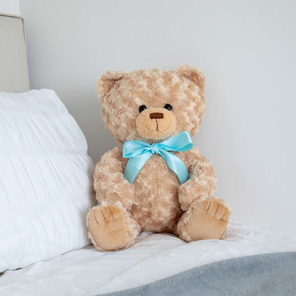 Memory Bear Blue Ribbon