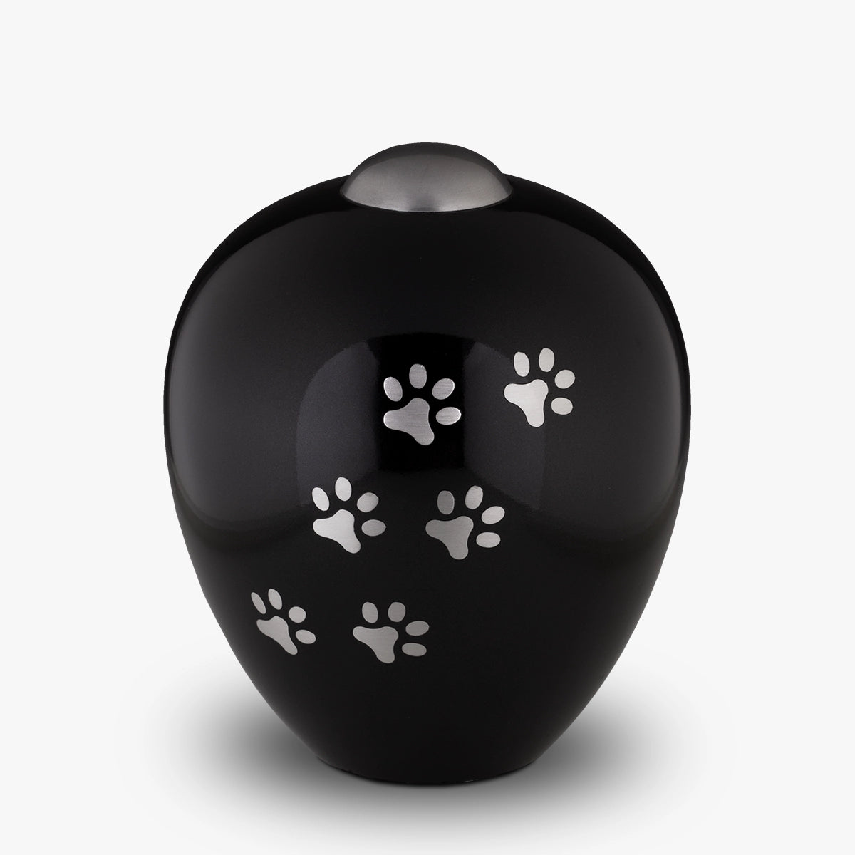 Pawprints Pet Urn for Ashes in Black and Silver Medium