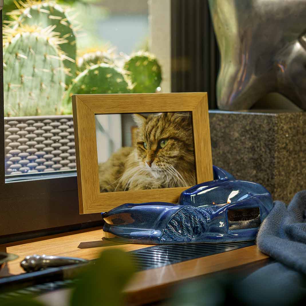 Picture Frame Pet Urns for Ashes in Blue Ceramic Facing Right with Photo of Cat on Shelf