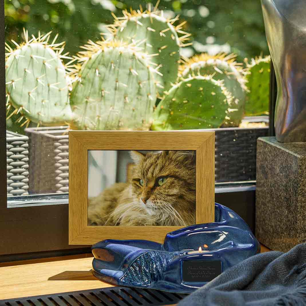 Picture Frame Pet Urns for Ashes in Blue Ceramic with Photo of Cat on Shelf in Home