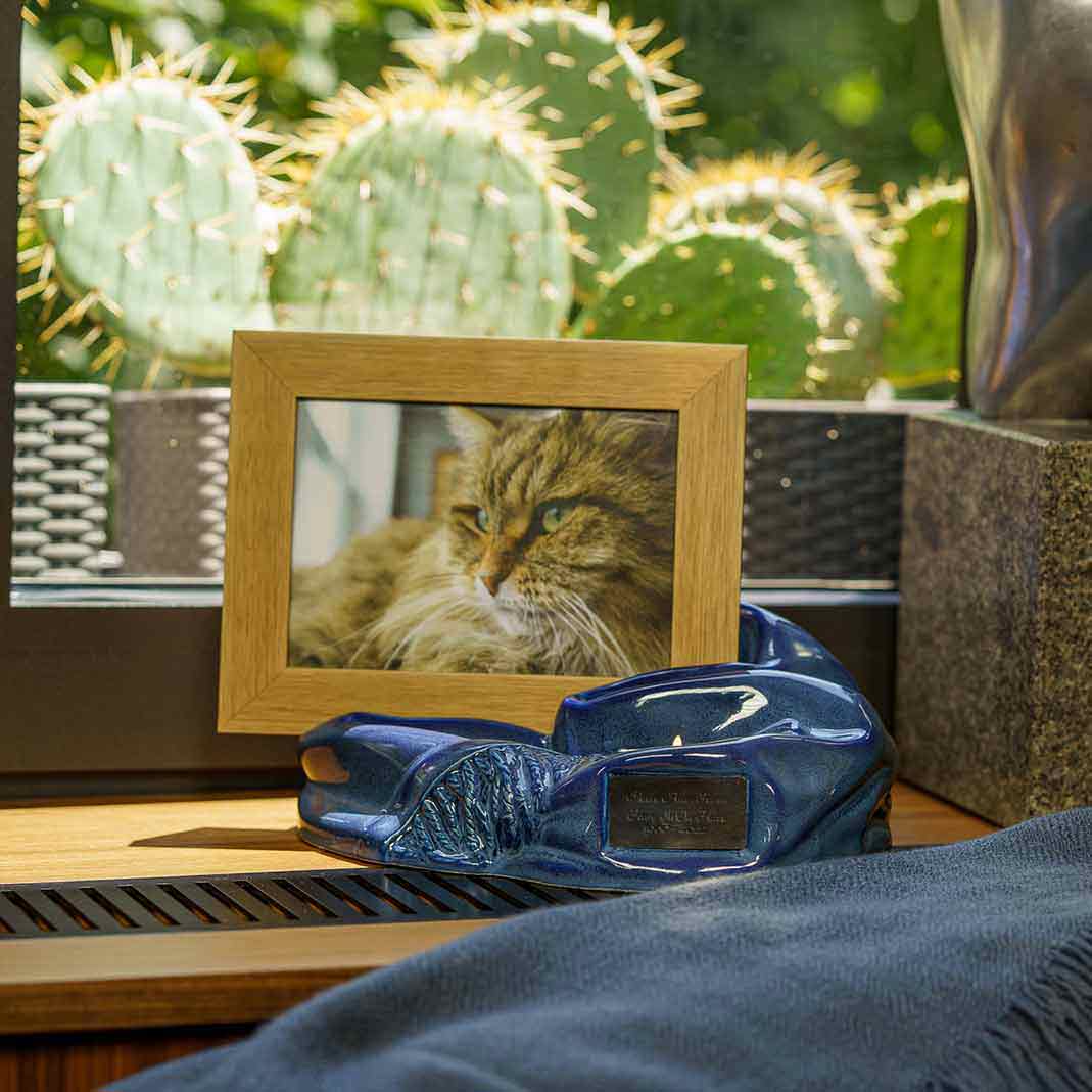 Picture Frame Pet Urns for Ashes in Blue Ceramic with Photo of Cat on Shelf