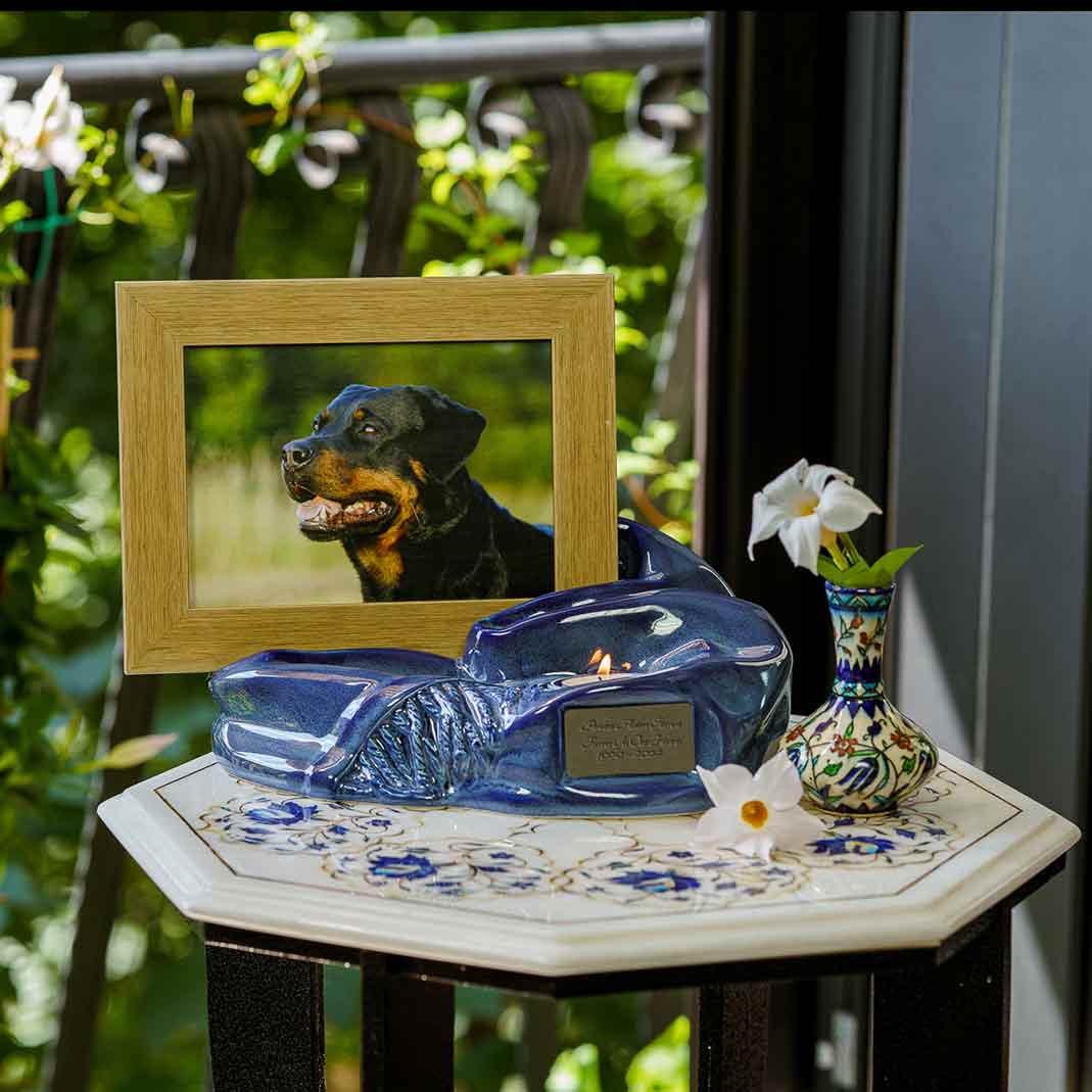 Picture Frame Pet Urns for Ashes in Blue Ceramic with Photo of Dog on Shelf Zoomed Out