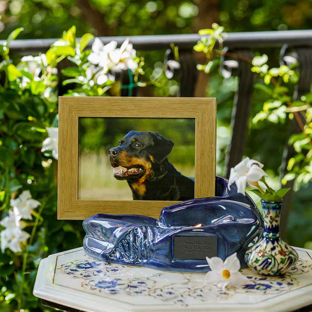 Picture Frame Pet Urns for Ashes in Blue Ceramic with Photo of Dog on Table
