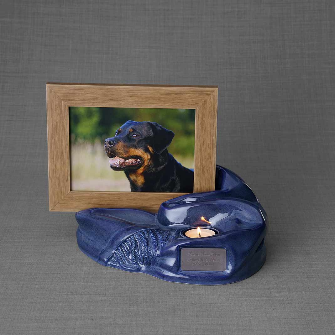Picture Frame Pet Urns for Ashes in Blue Ceramic with Photo of Dog