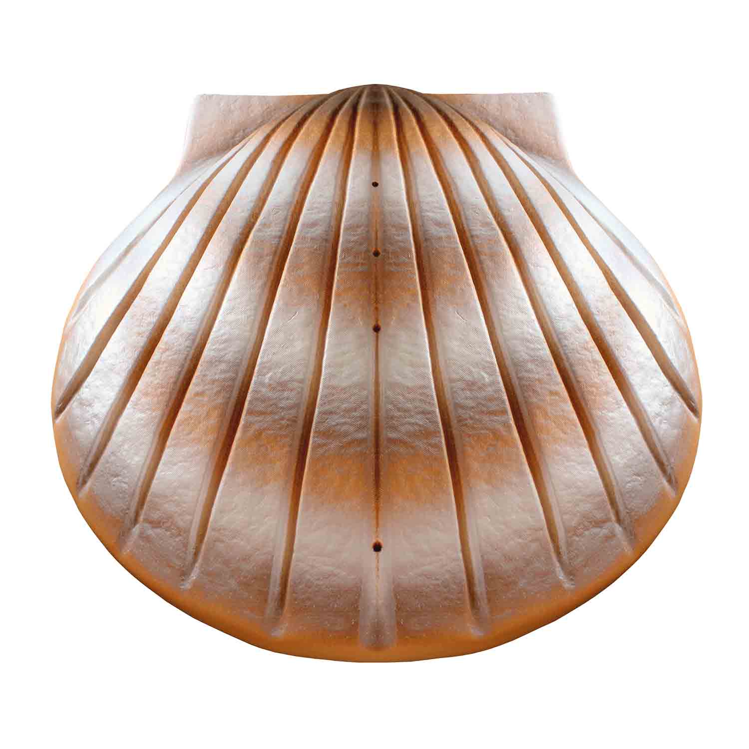Shell Biodegradable Water Urns for Ashes in Pearl