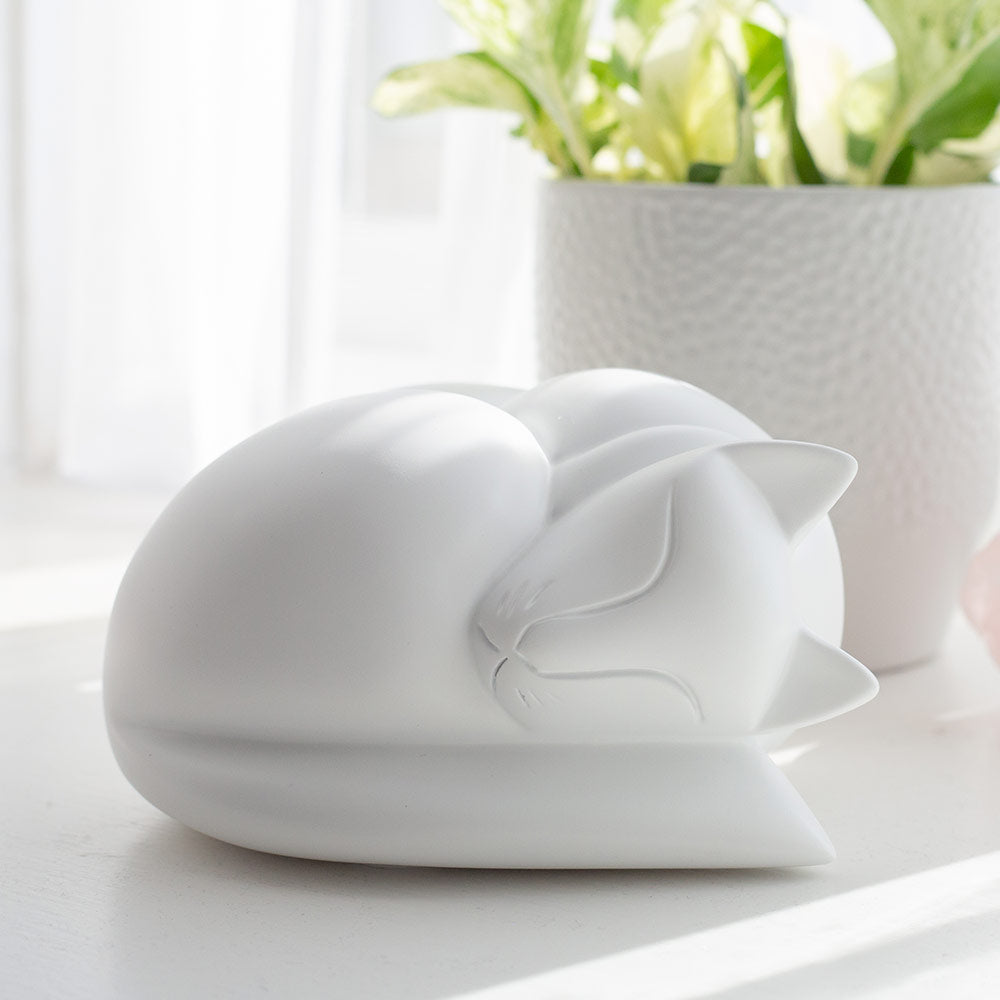 Sleeping Cat Resin Urn in White