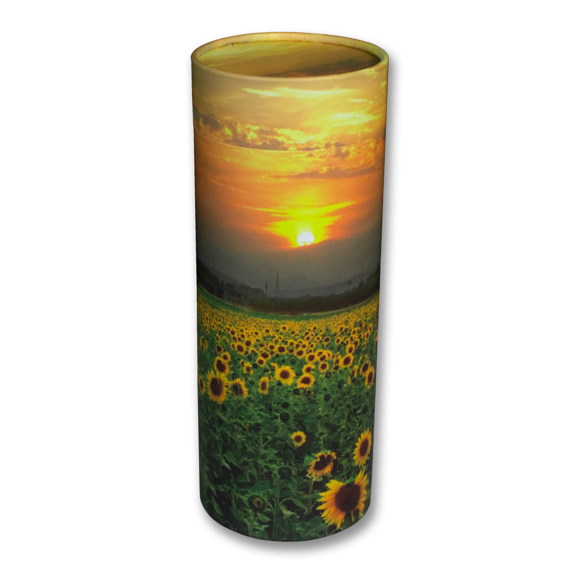 Sunflower Fields Eco Friendly Scattering Tube for Ashes - Extra Large (No. 7)