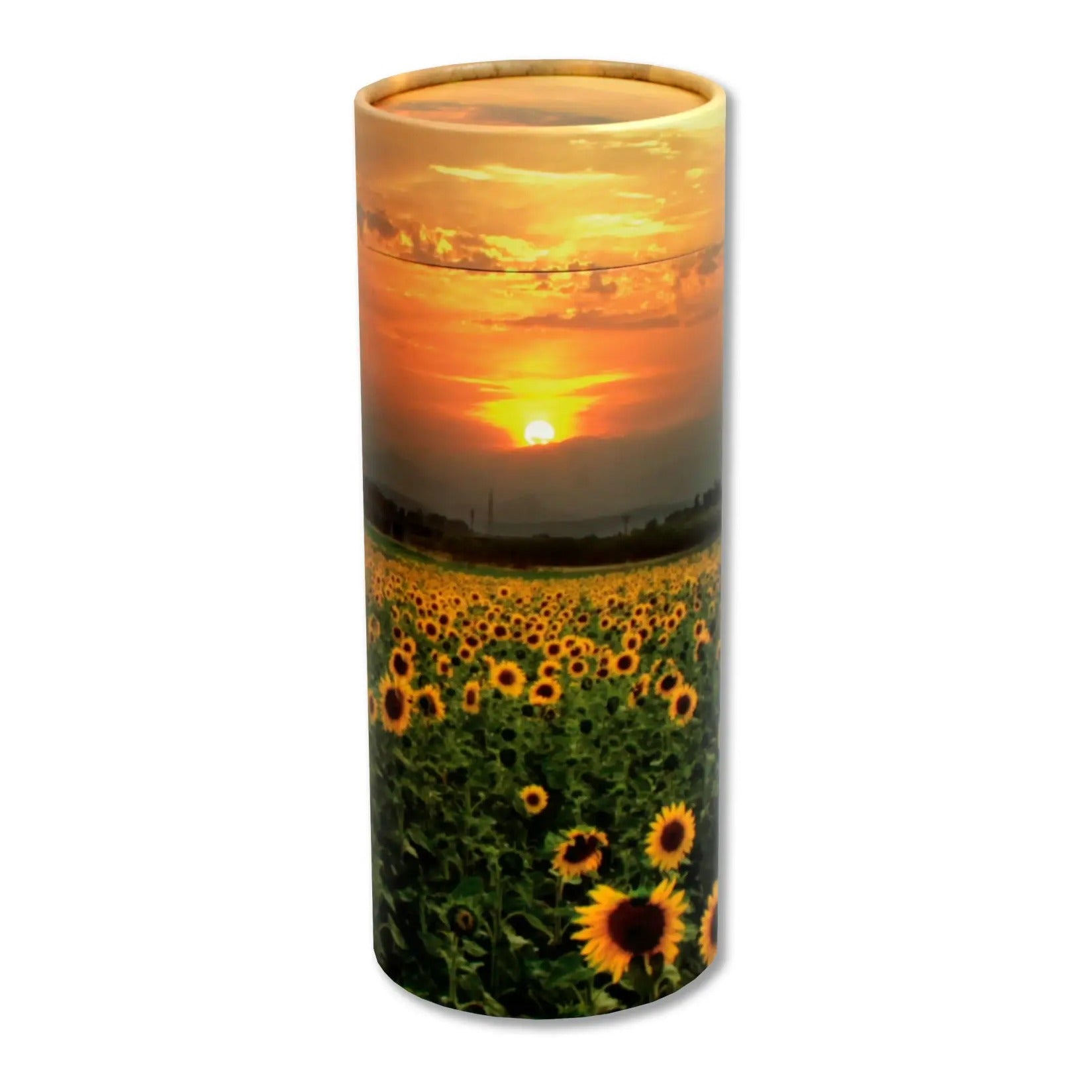 Sunflower Fields Eco Friendly Scattering Tube for Ashes - Medium