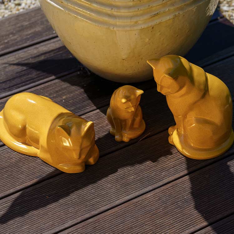 Amber Cat Urns Outside Near Plant Pot Above Angle In The Sun