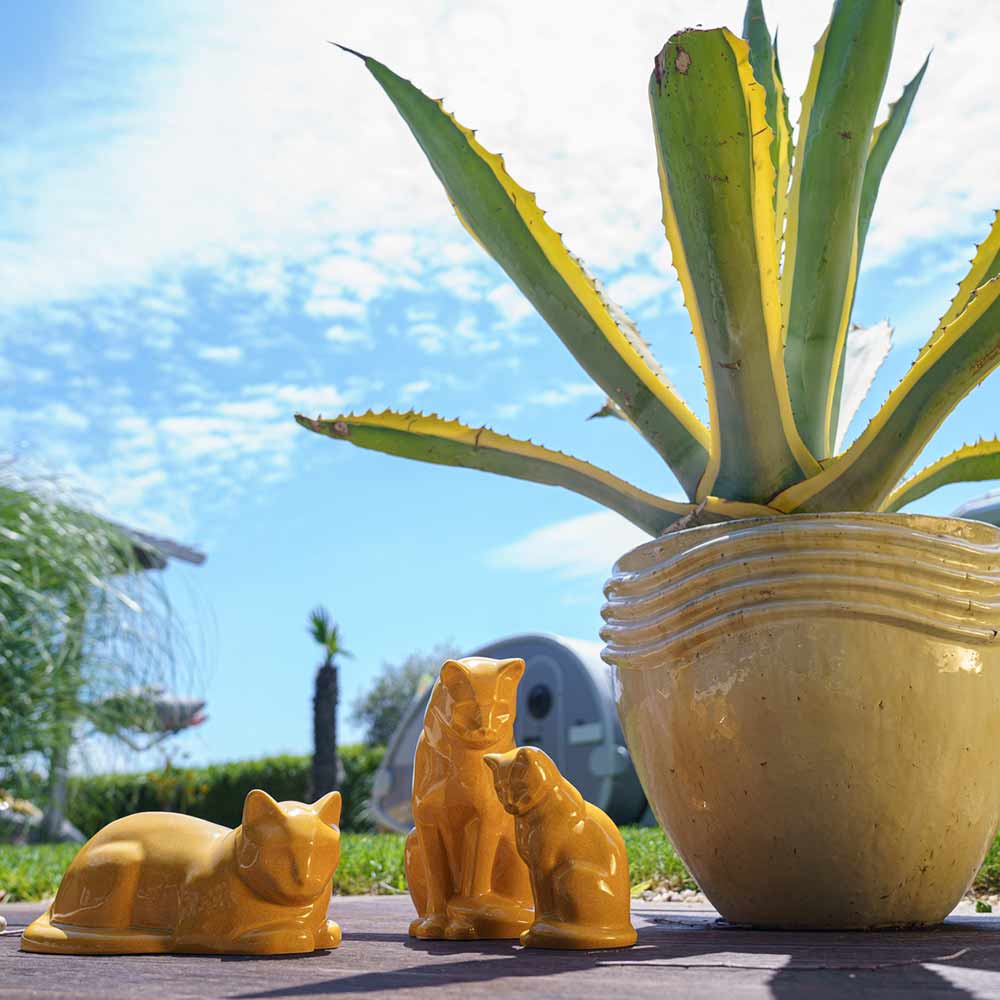 cat urns for ashes amber outside near plant pot sunshine
