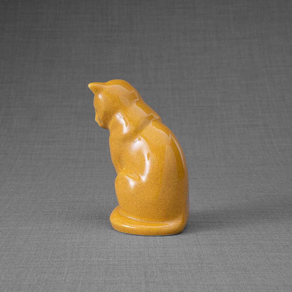 Kitten Urn For Ashes Amber Back