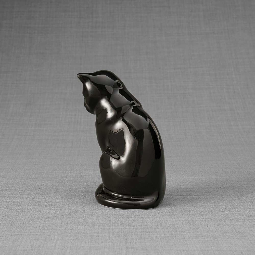 Kitten Urn For Ashes Glossy Black Back Left