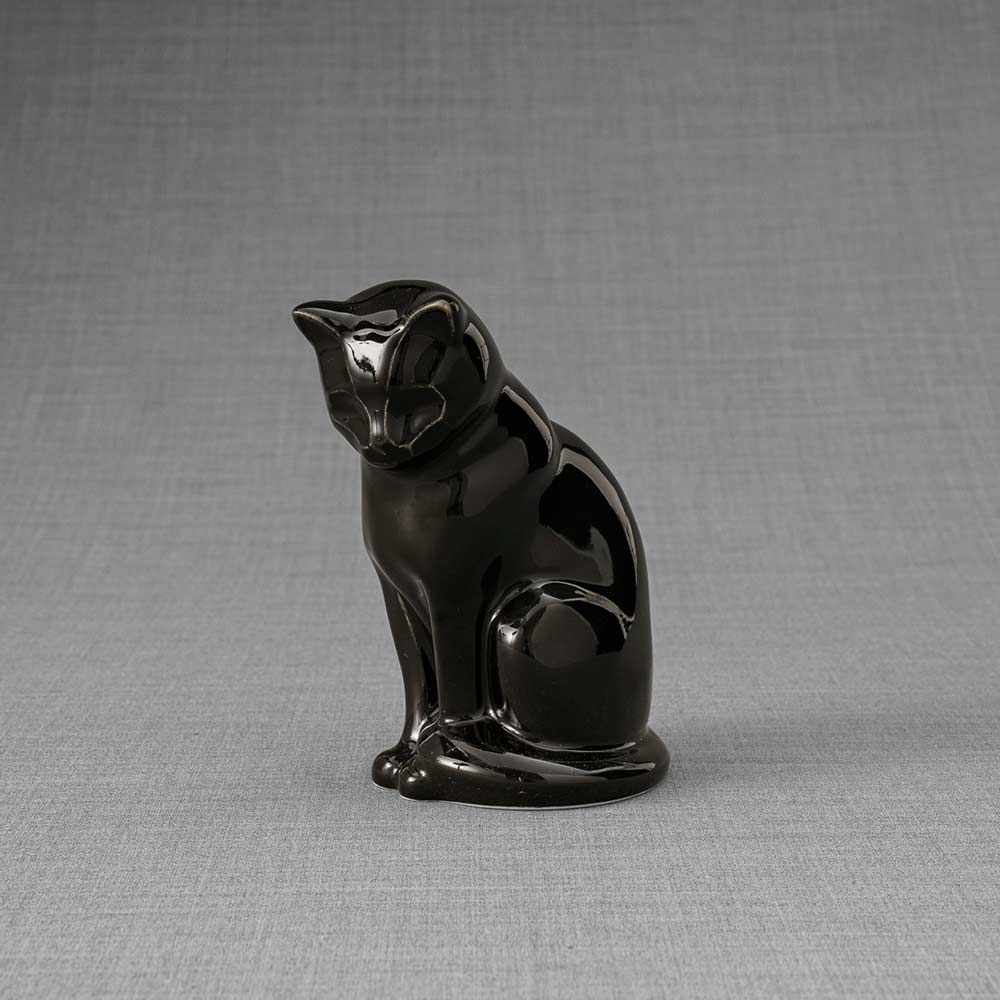 Kitten Urn For Ashes Glossy Black Front Left