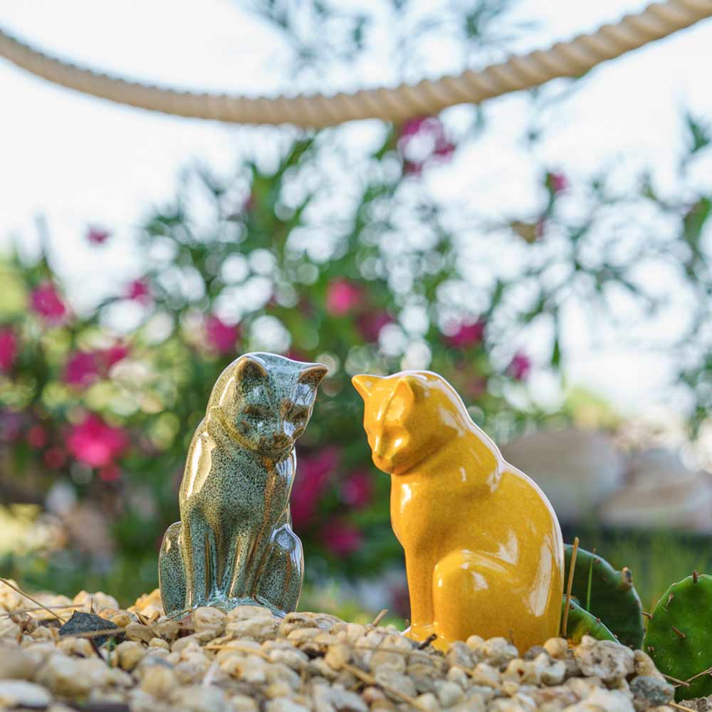 kitten urns for ashes outside oily green and amber sunshine