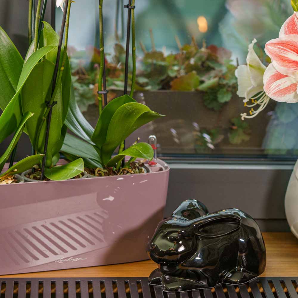 Rabbit Urn For Ashes Glossy Black On Window Ledge Left