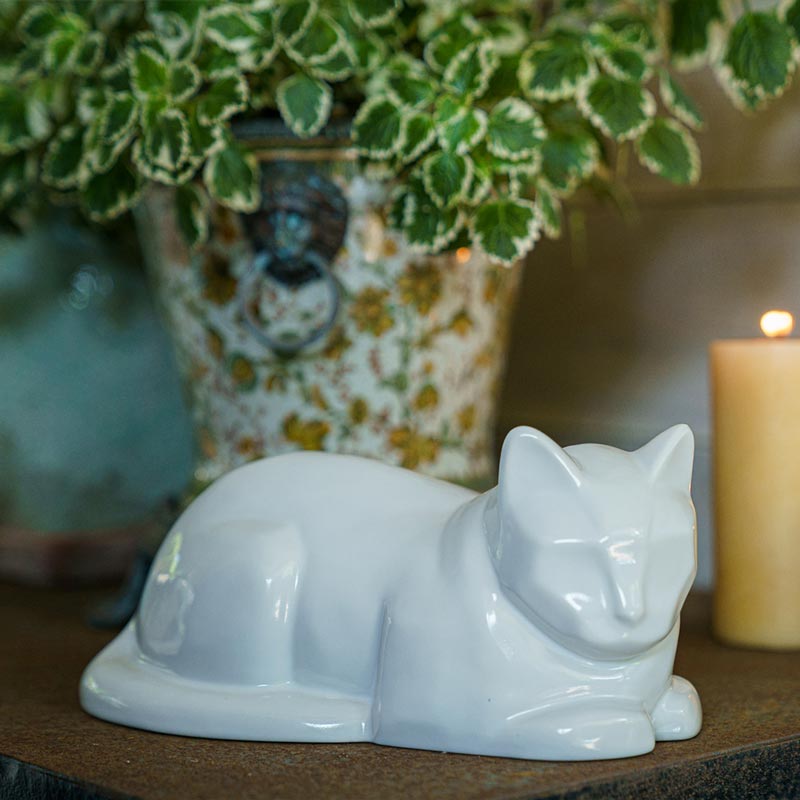 Cat Cremation Urn For Pets Ashes In White On Shelf