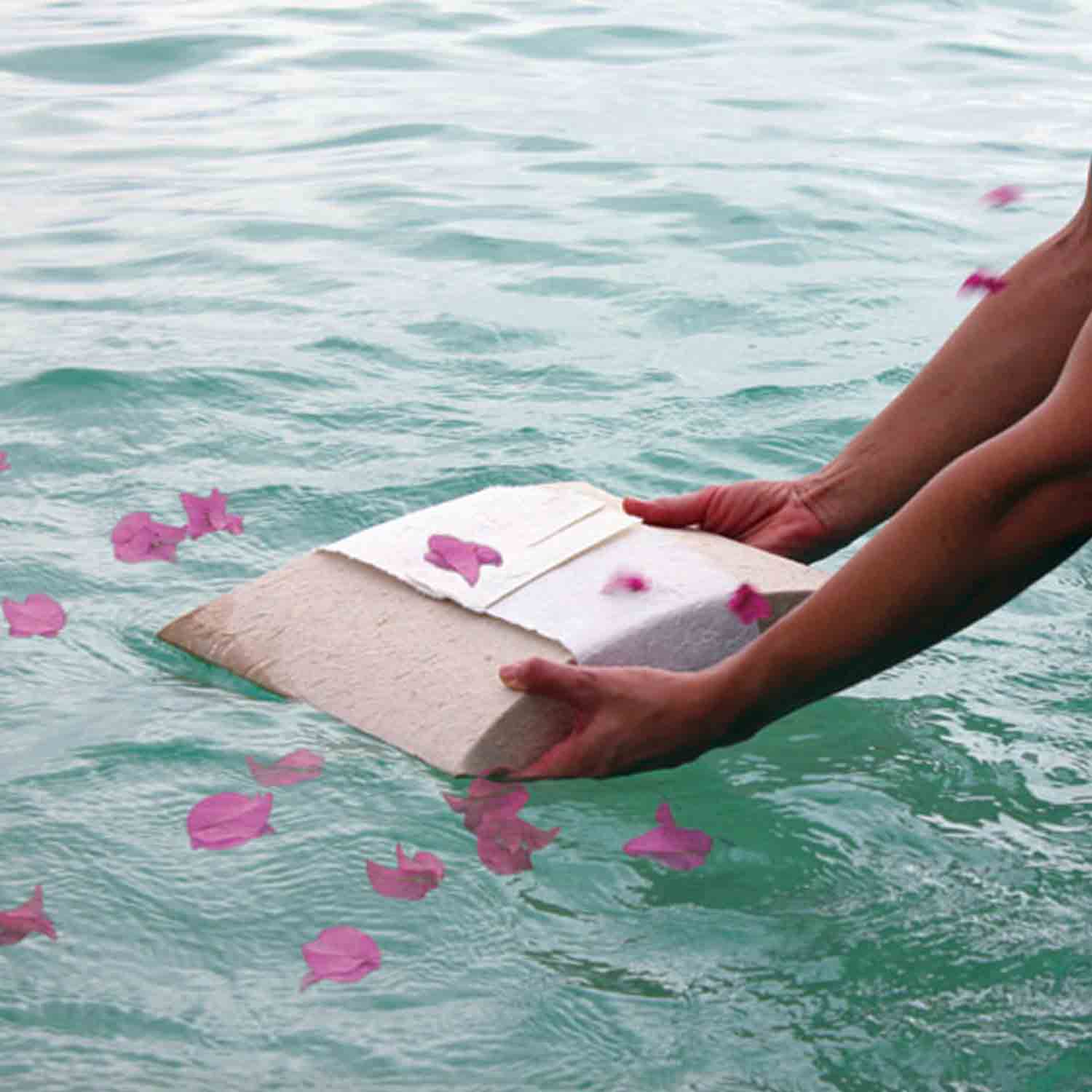 Memorial Petals in Water