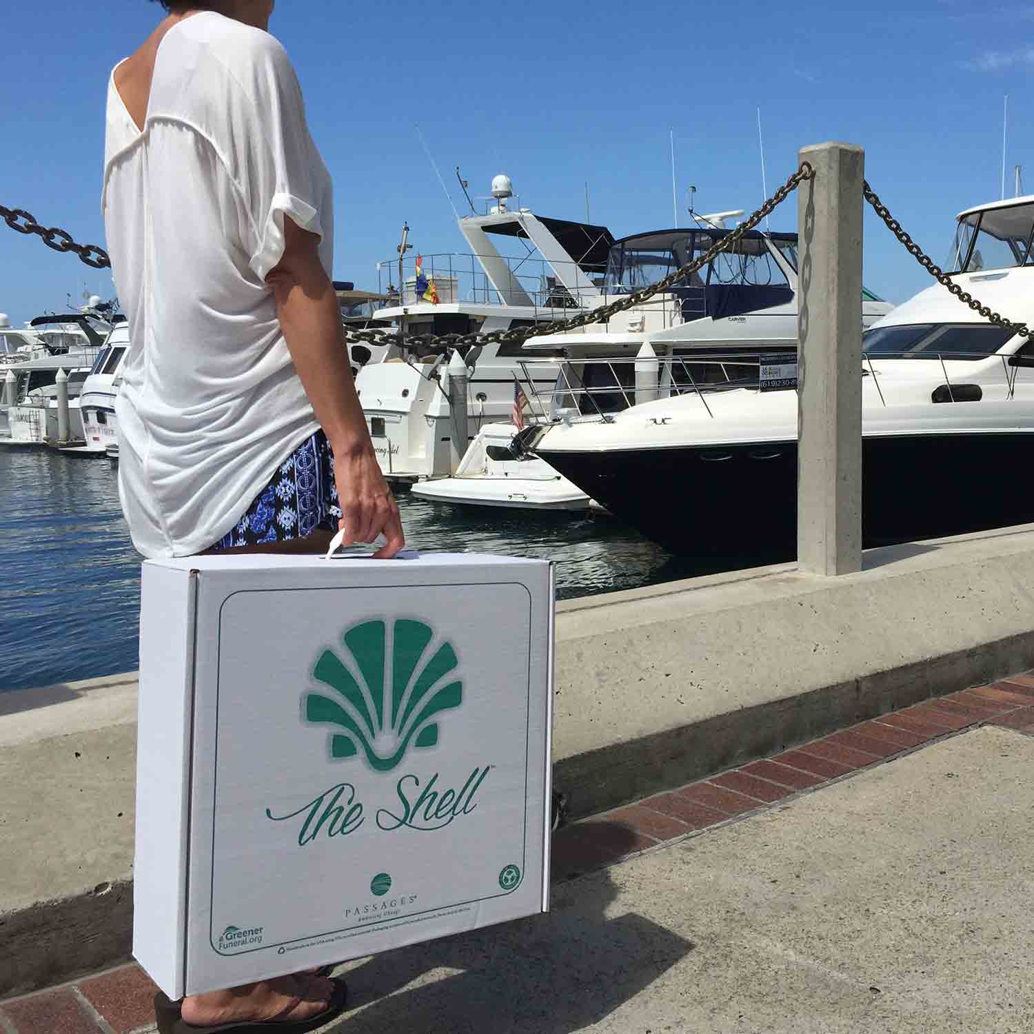 Shell Biodegradable Water Urn for Ashes in Box