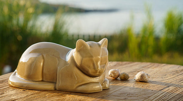 Choosing the right pet urn for you 