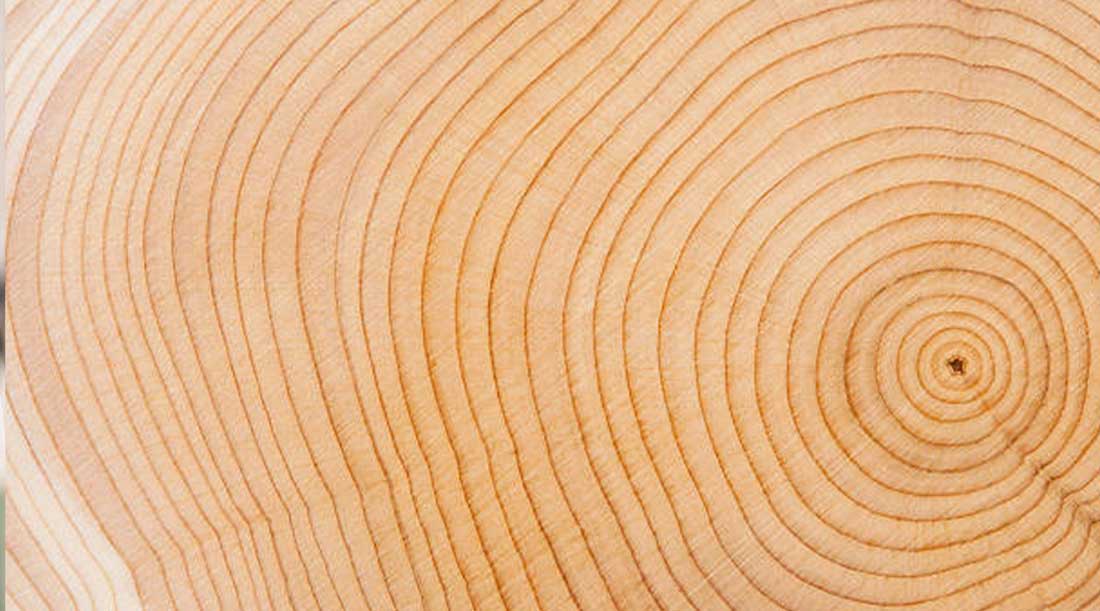 Different Types of Wooden Urns for Ashes