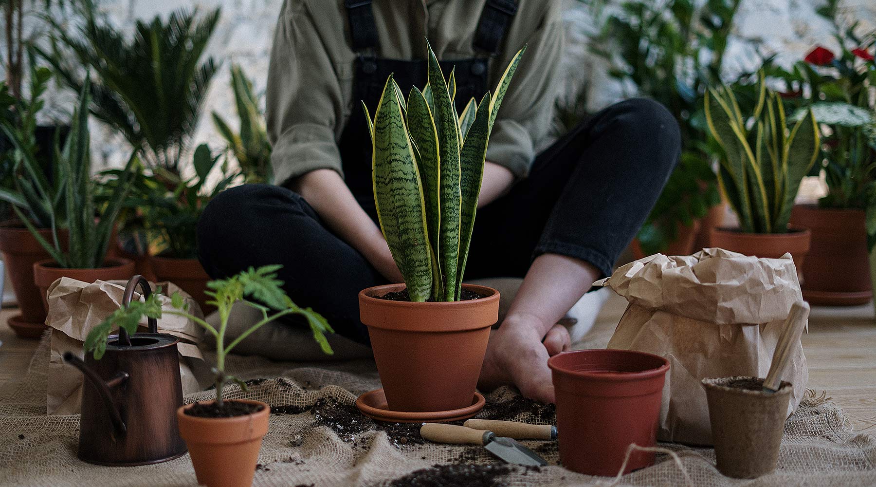 How To Create A Memorial Garden