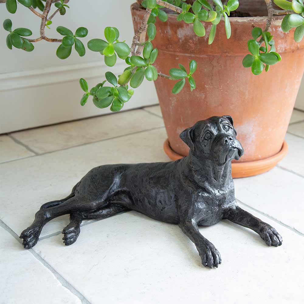 Boxer Urn for Ashes