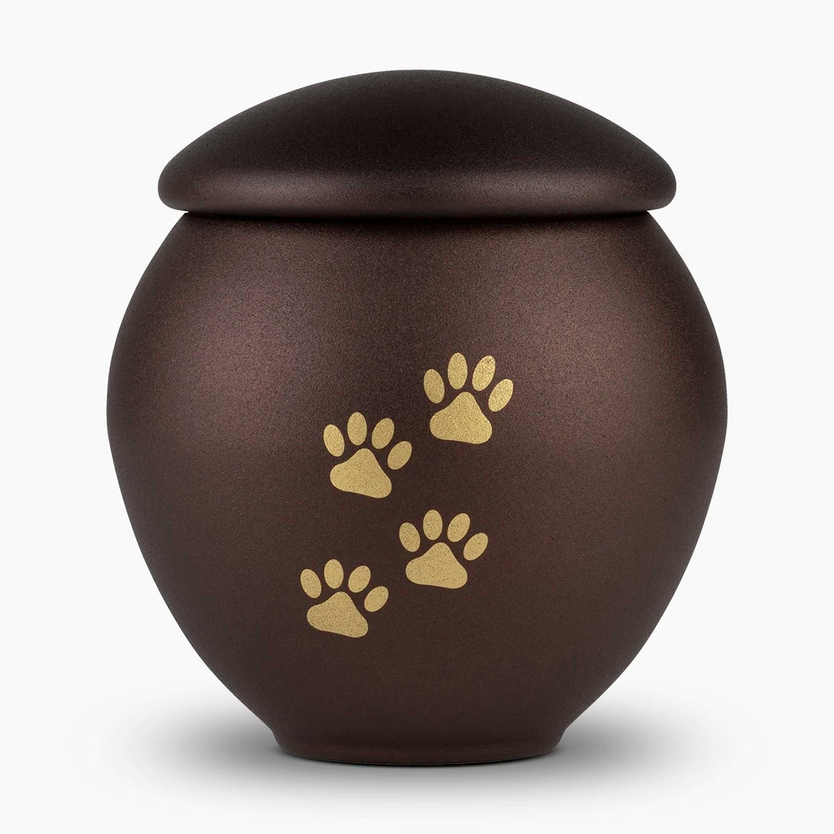 Bronze and Gold Pawprints Pet Urn for Ashes Large