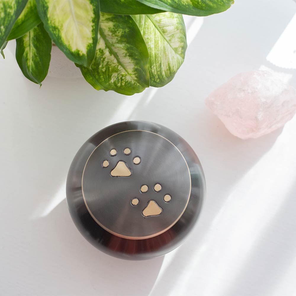 Brushed Metal Pet Urn for Ashes with Paw Print Motif in Sunlight 300ml