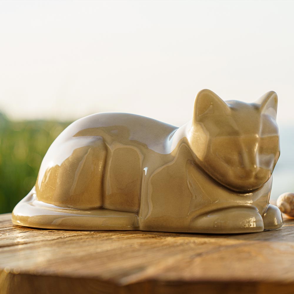 Cat Cremation Urn For Pets Ashes In Dark Sand Outside