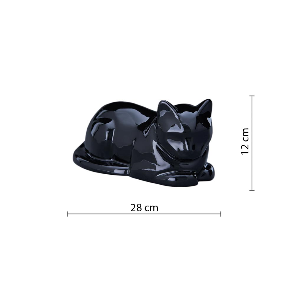 Cat Cremation Urn For Pets Ashes In Glossy Black Dimensions