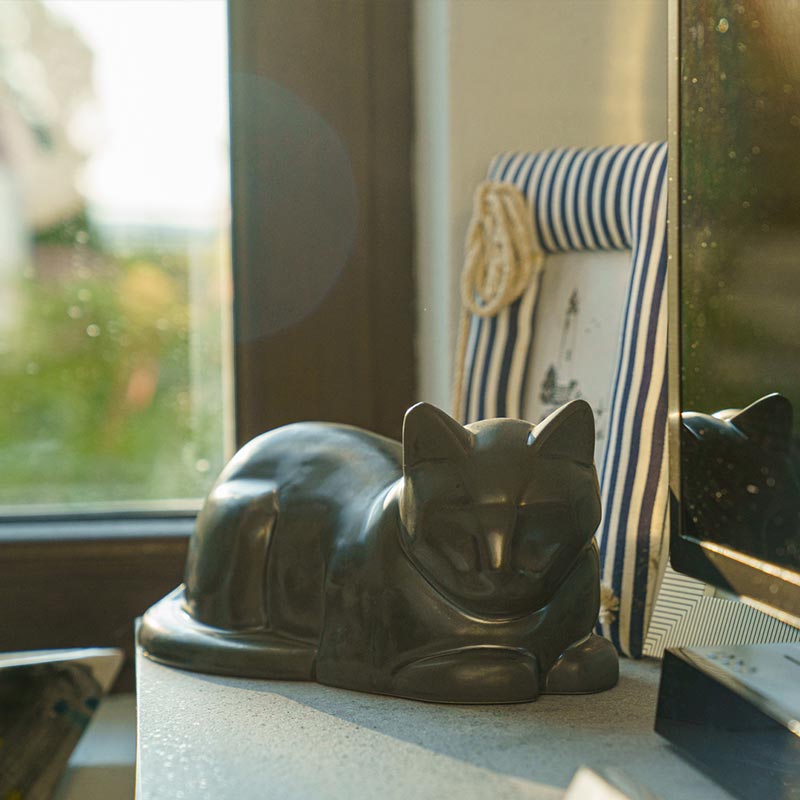 Cat Cremation Urn For Pets Ashes In Matte Black By Window