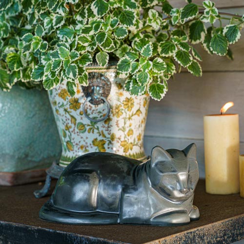 Cat Cremation Urn For Pets Ashes In Matte Black On Shelf