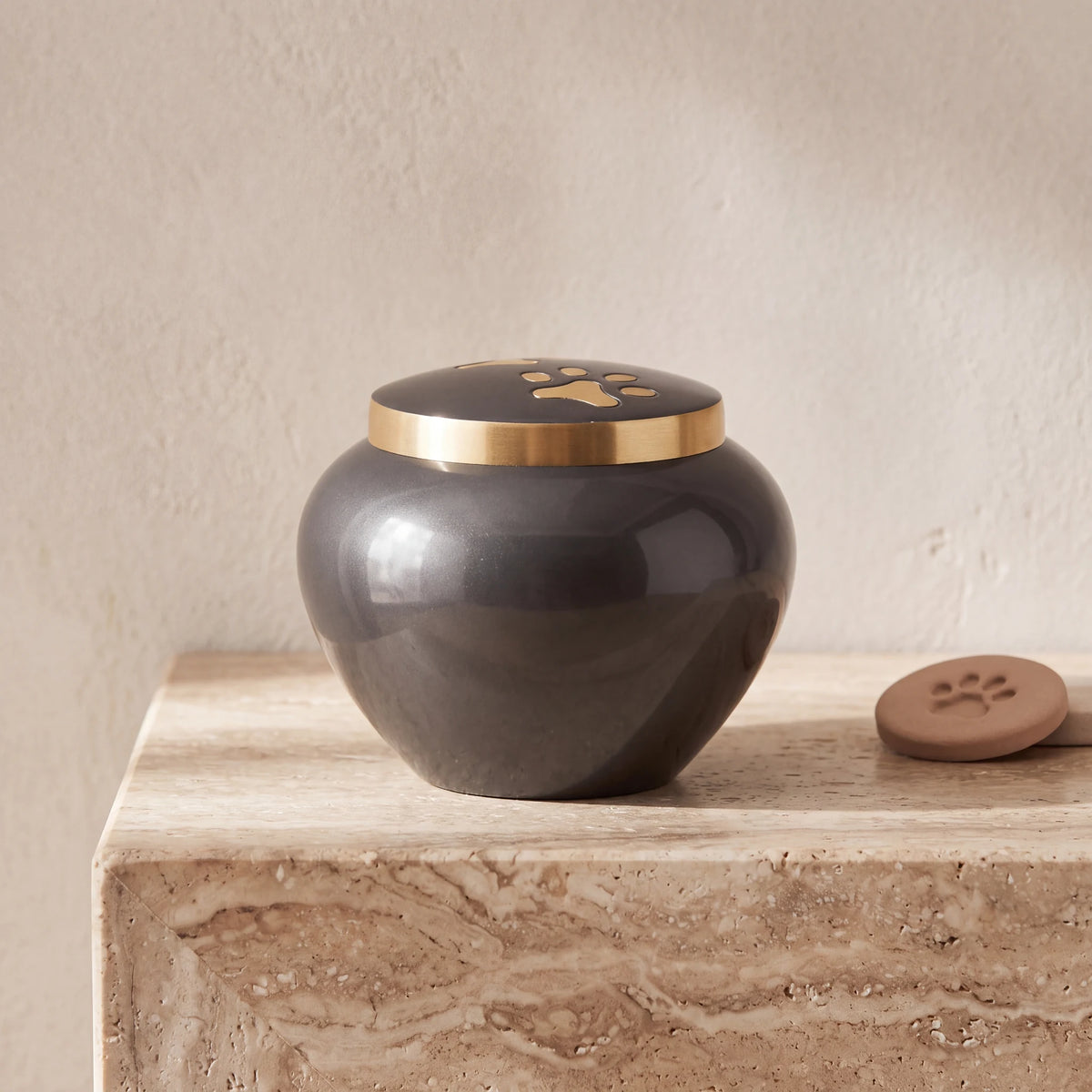 Eternal-Pawprints-Pet-Urn-for-Ashes-Small-pet_paw_token