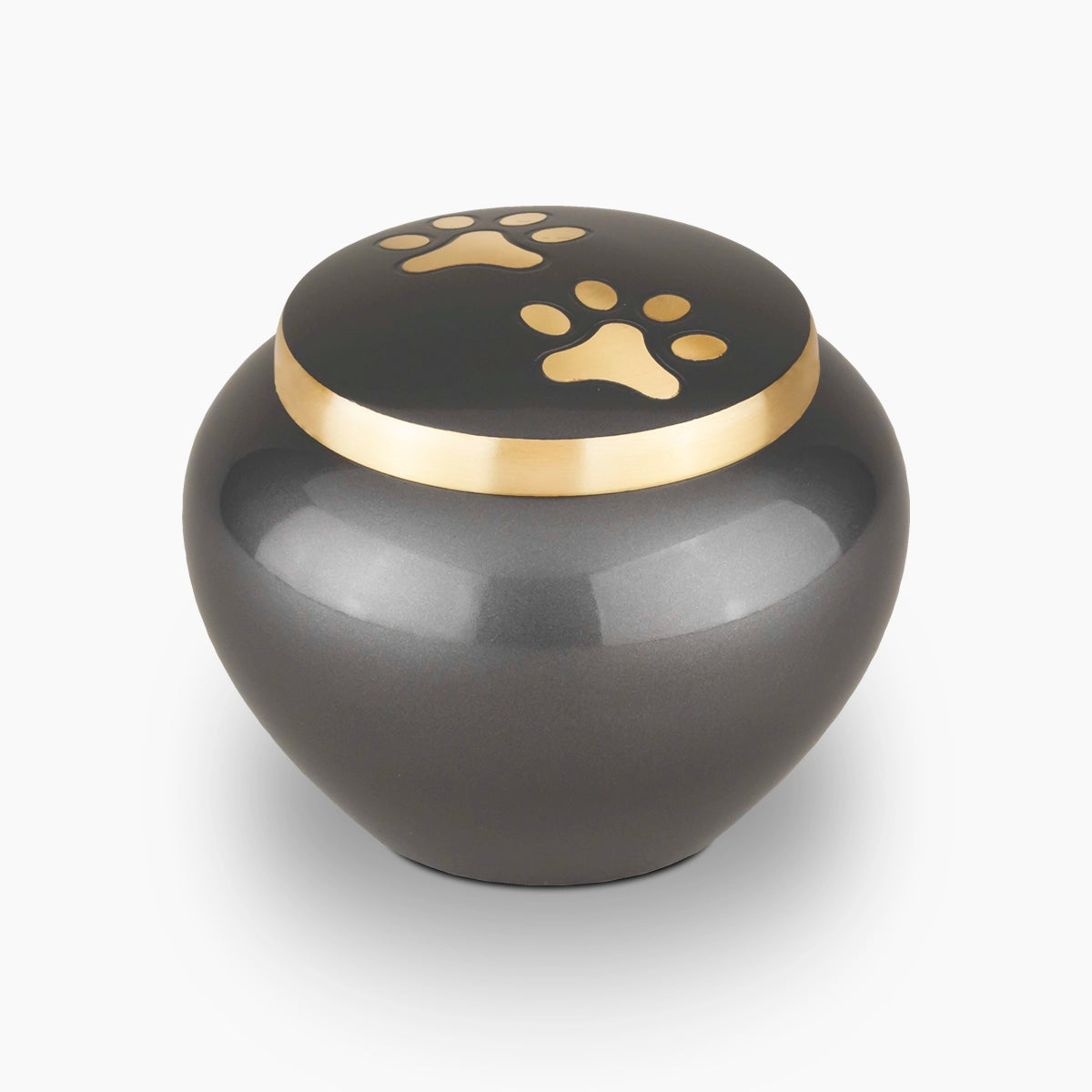 Eternal Pawprints Pet Urn for Ashes in Graphite and Gold Medium